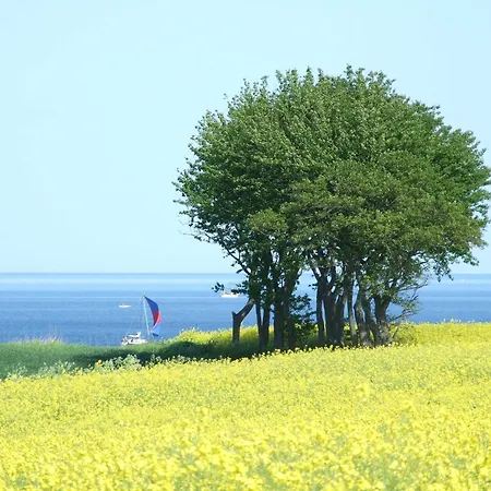 Kuestenliebe Schonhagen (Schleswig-Holstein)